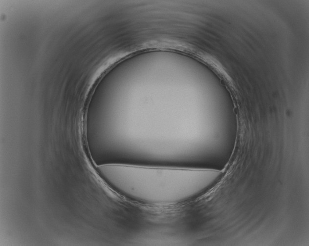 X0000086741040200704130727