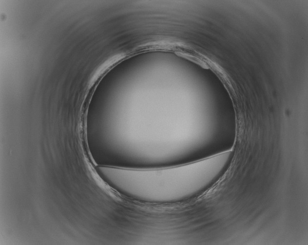 X0000086741042200704130727