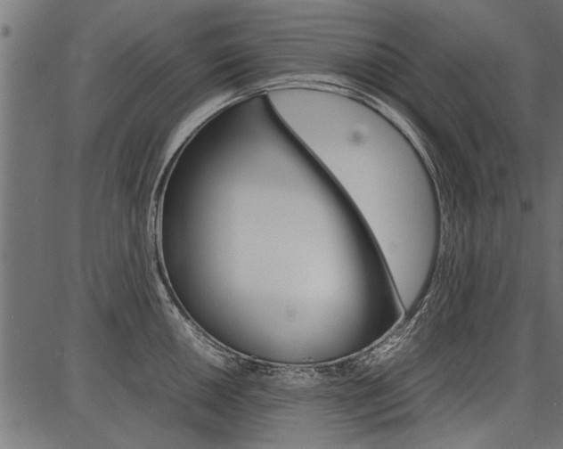 X0000086741050200704130727