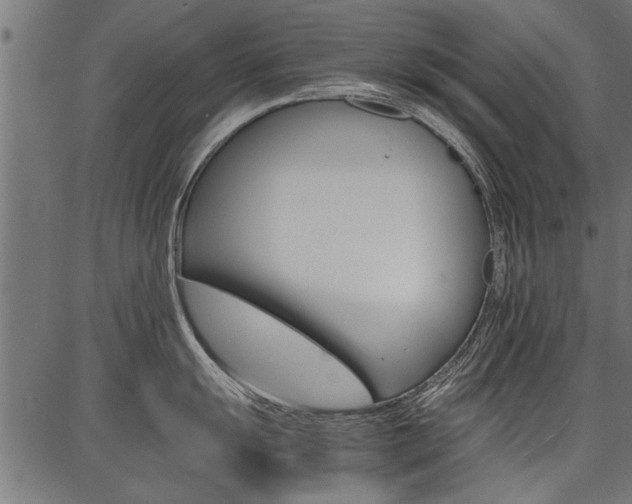 X0000086741055200704130727