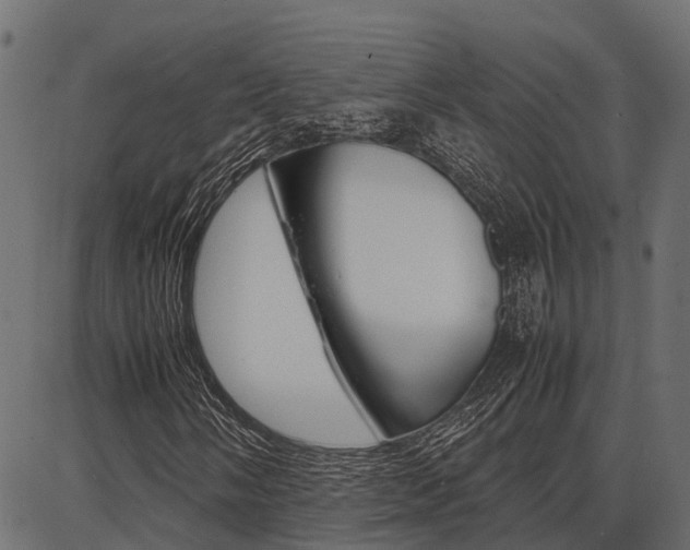 X0000086741058200704130727