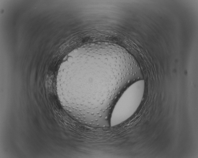 X0000086741059200704130727