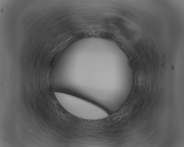 X0000086741060200704130727
