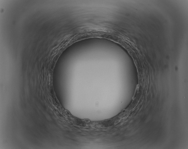 X0000086741061200704130727