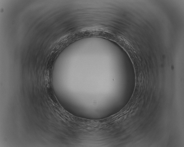 X0000086741062200704130727