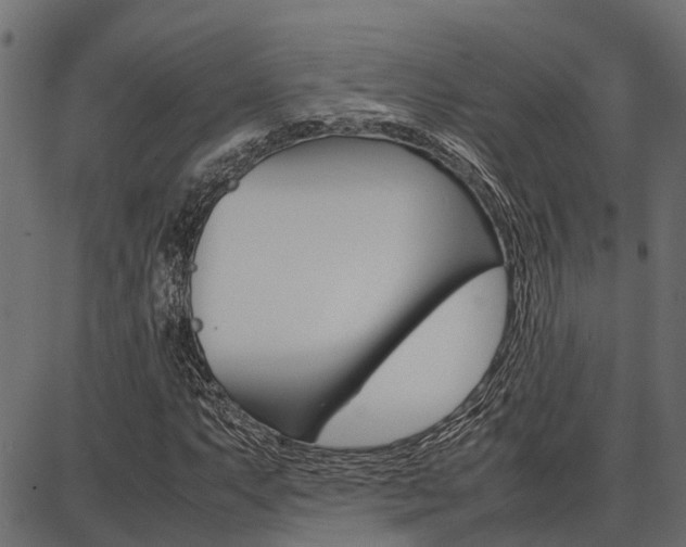 X0000086741063200704130727