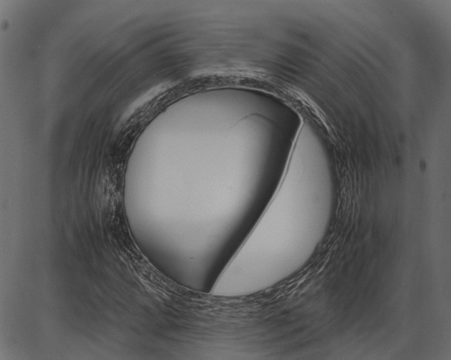 X0000086741064200704130727