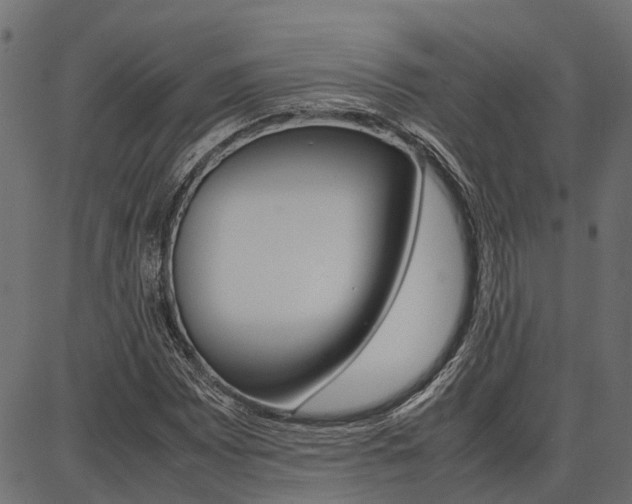 X0000086741065200704130727