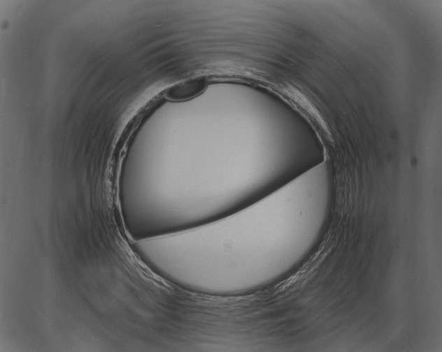 X0000086741068200704130726