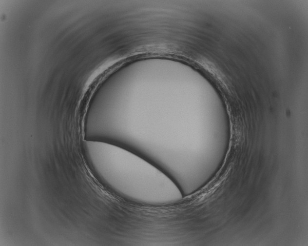 X0000086741070200704130726