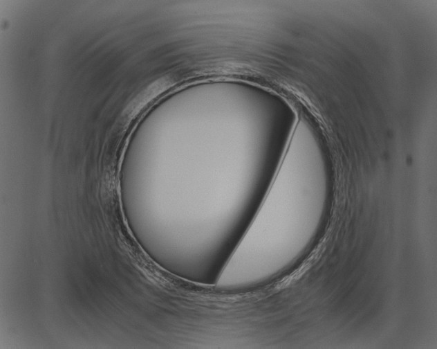 X0000086741073200704130726