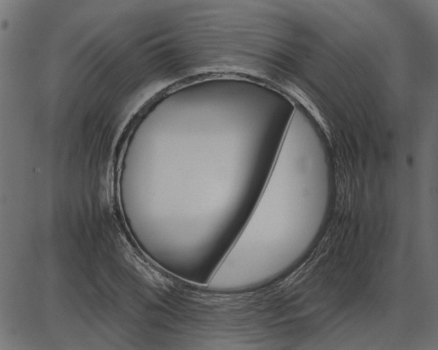 X0000086741076200704130726