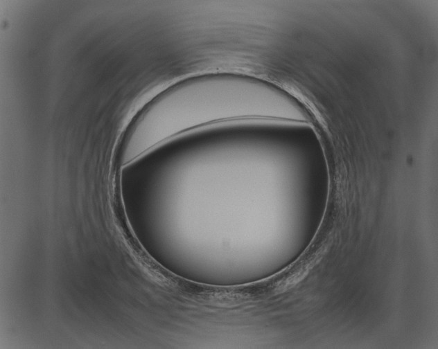 X0000086741077200704130726