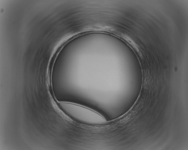 X0000086741080200704130726