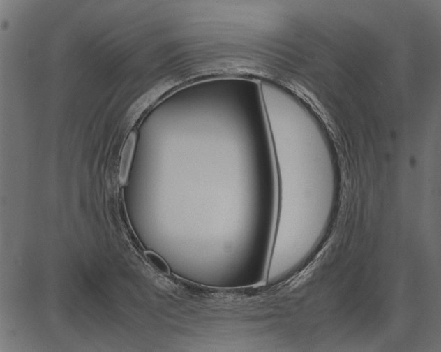 X0000086741081200704130726