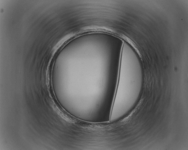X0000086741082200704130726