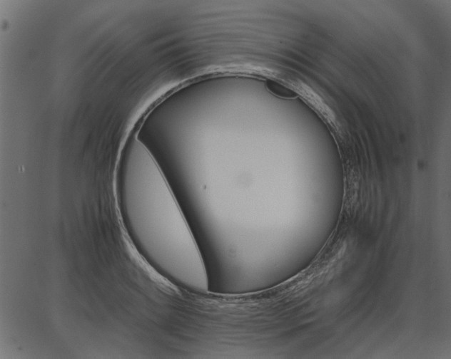 X0000086741084200704130726