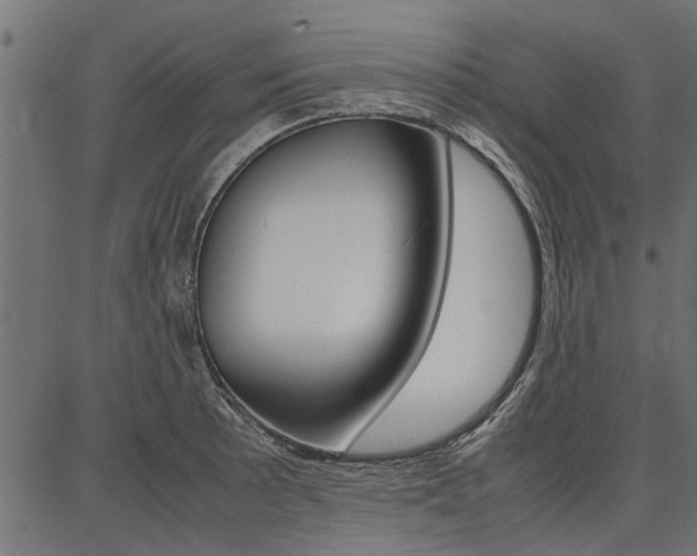 X0000086741089200704130726