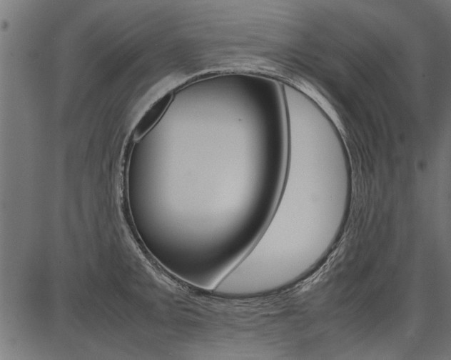 X0000086741093200704130726
