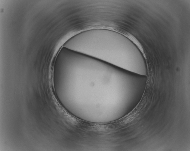 X0000086741096200704130726