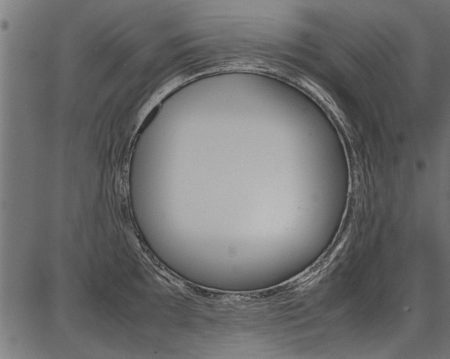 X0000086741097200704130726