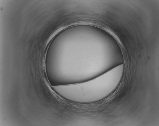 X0000086741101200704130726