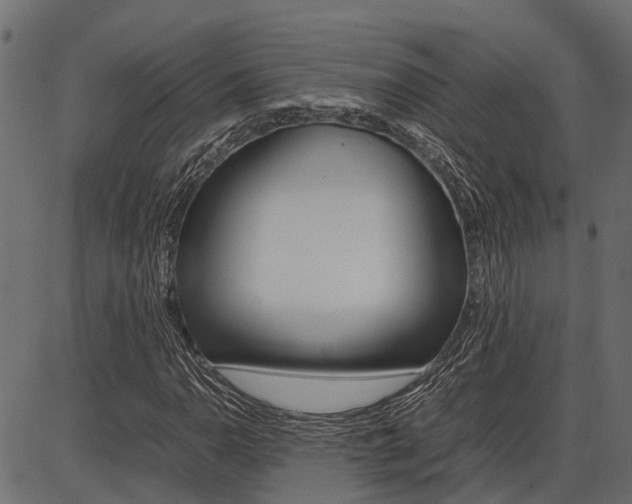 X0000086741110200704130725