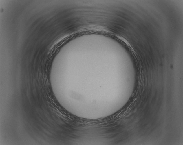 X0000086741112200704130725