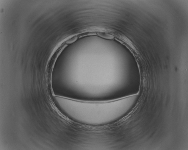 X0000086741116200704130725