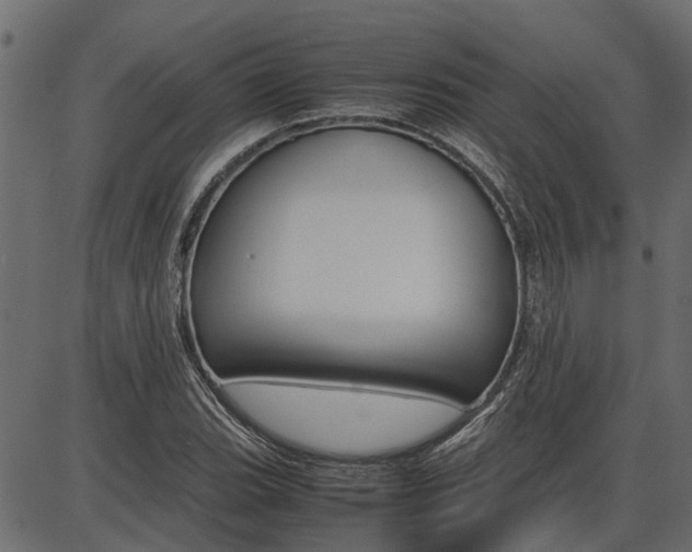 X0000086741119200704130725