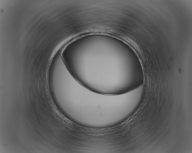 X0000086741120200704130725