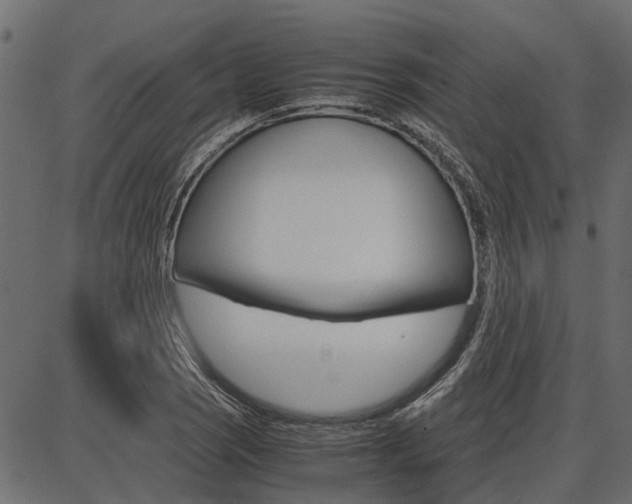X0000086741121200704130725