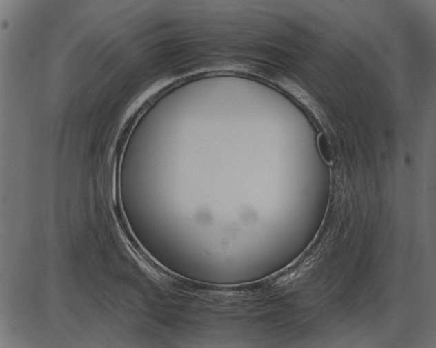 X0000086741127200704130725