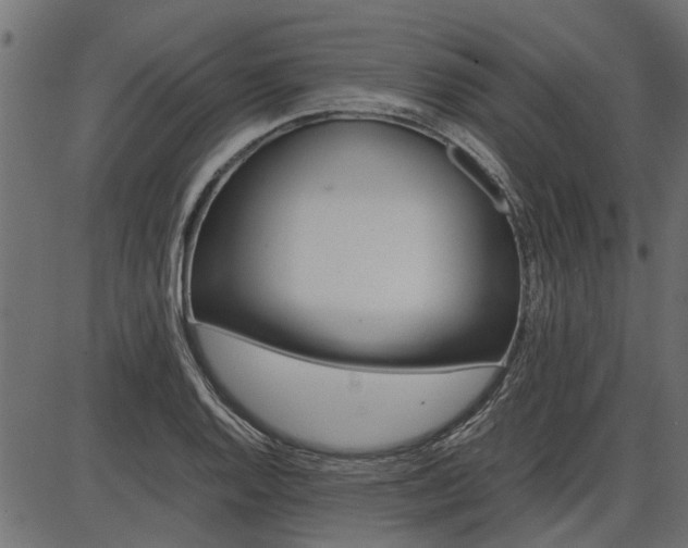 X0000086741128200704130725