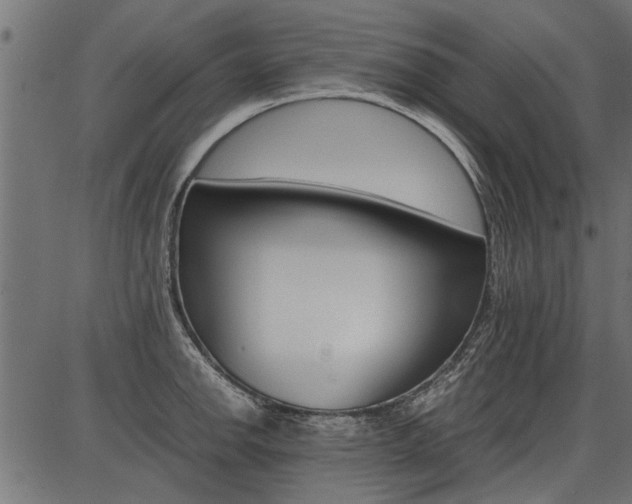 X0000086741142200704130726