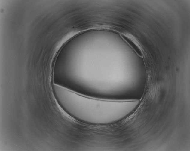 X0000086741143200704130726