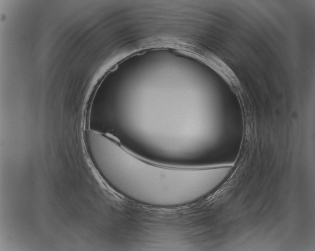 X0000086741144200704130726