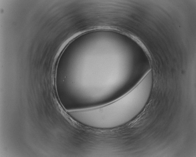 X0000086741148200704130726