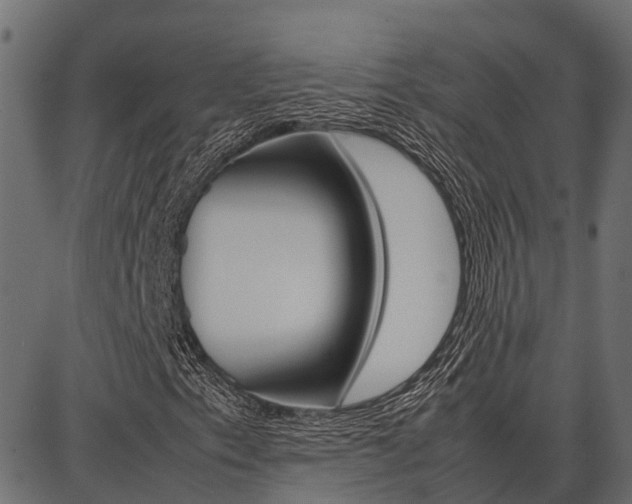 X0000086741153200704130725