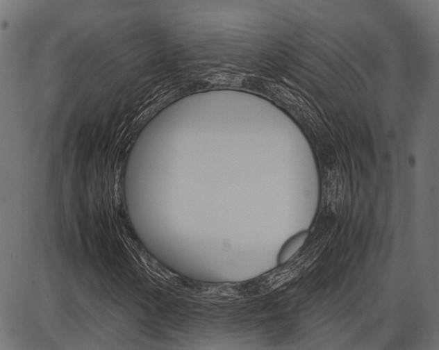 X0000086741154200704130725