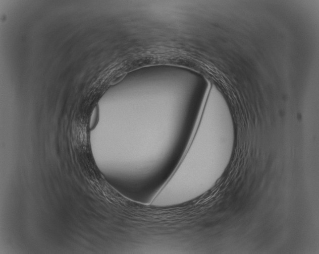 X0000086741155200704130725