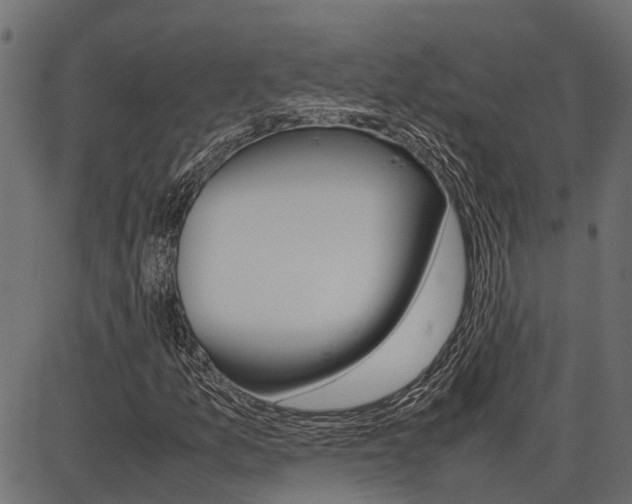 X0000086741157200704130725