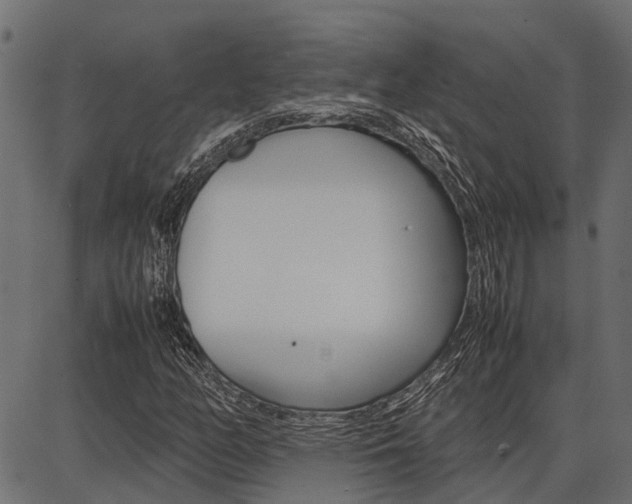 X0000086741158200704130725