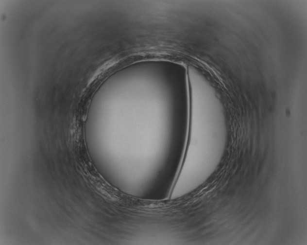 X0000086741160200704130725