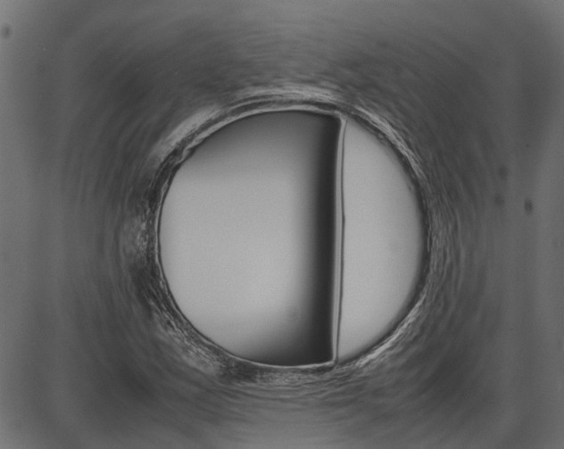 X0000086741163200704130725