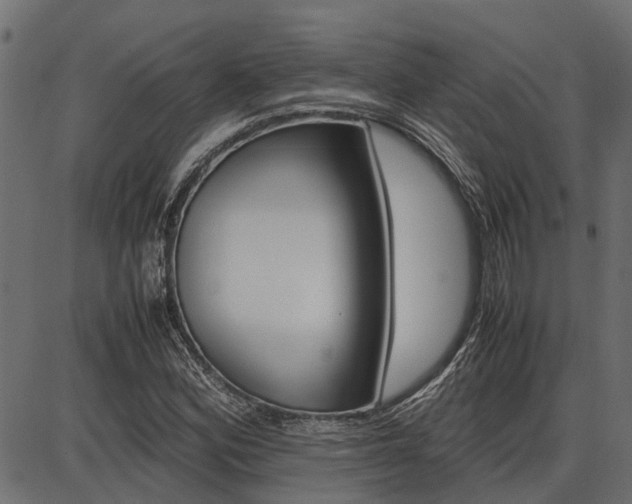 X0000086741164200704130725