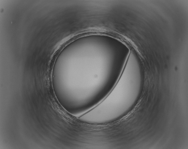 X0000086741168200704130725