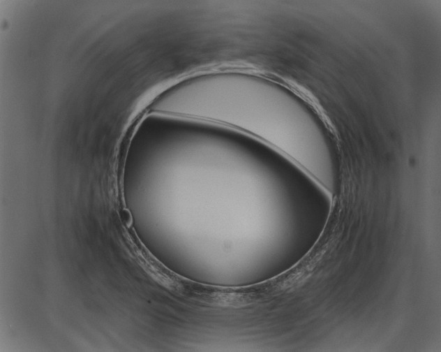 X0000086741176200704130725