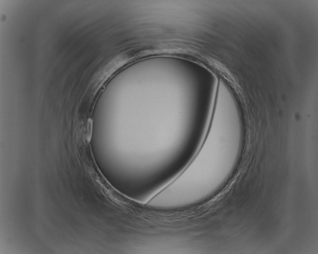 X0000086741177200704130725