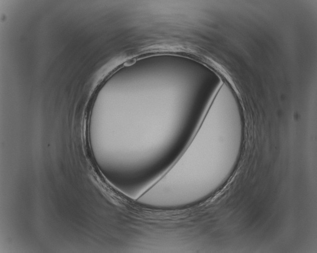 X0000086741179200704130725